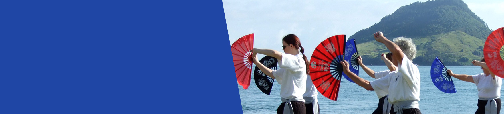 <h2>TAI CHI...</h2>the ultimate fitness for over 40's