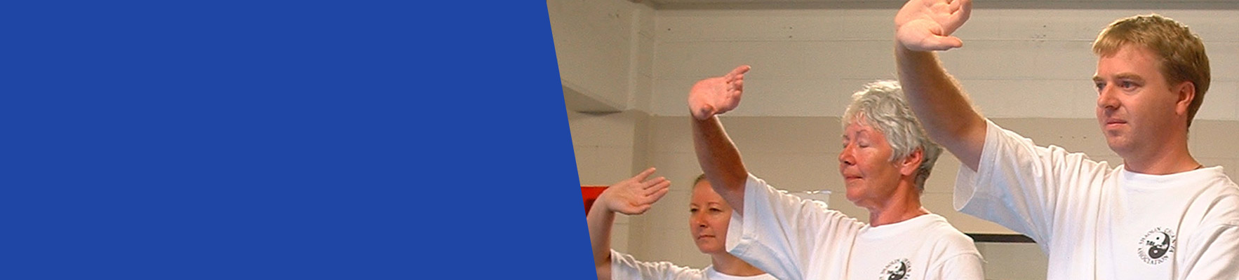 <h2>DEVELOP...</h2>strong, healthy harmonised body and mind